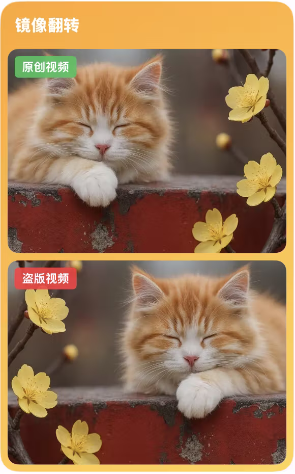 镜像翻转后的原创视频和盗版视频对比